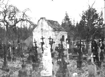 Hřbitov Srní